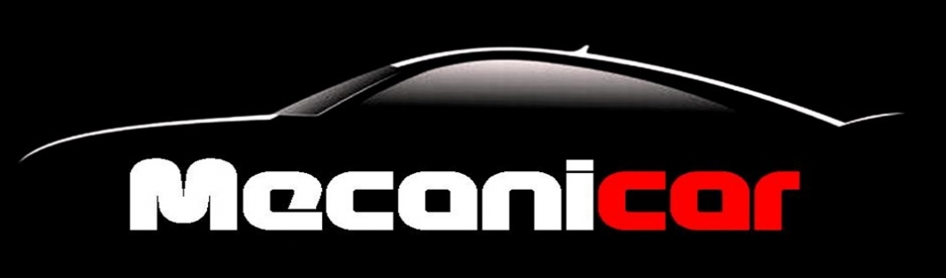 logo mec